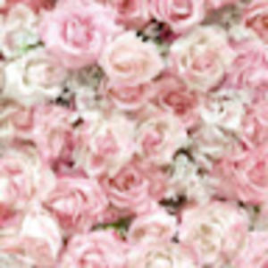 Meet your Posher, Ariana